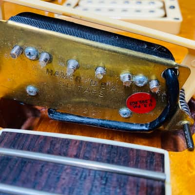 Hamer Sunburst: One of a Kind: Hamer Fan Club. 2001 Natural image 12