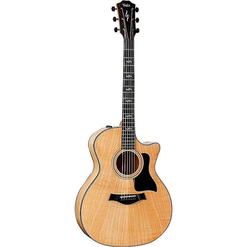Taylor Fall Limited 424ce Urban Ash image 1