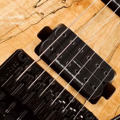 B.C. Rich Shredzilla Prophecy Archtop with Floyd Rose Spalted Maple image 9