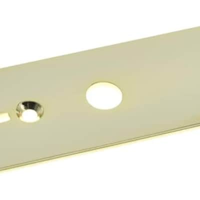Tele Guitar Control Plate with 25/64" Diameter Pot Holes for Telecaster Guitar with CTS Pots Gold image 1