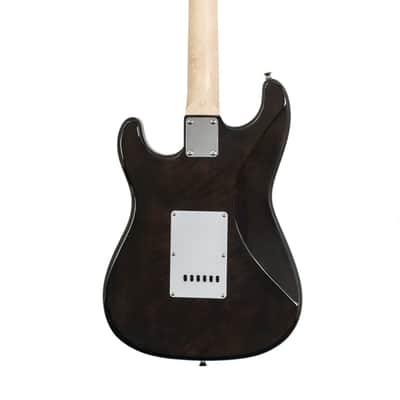 Washburn SDFTB Deluxe Sonamaster Double Cut Solid Body Flame Maple Top Maple Bolt-on Maple Neck 6-String Electric Guitar image 2