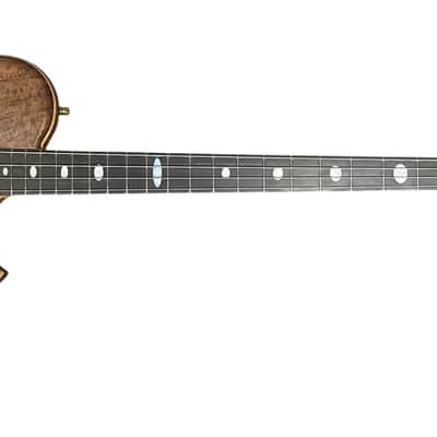 Alembic Crest 4 Medium Scale (32"), Walnut / Ebony / Side Led's *Similar On Order, ETA Oct 2026 image 13