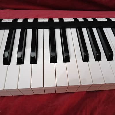 YAMAHA 88L 88H Complete 88 Keys Weighted Style 47W KORG T1 01W PRO X YAMAHA KX88 image 5