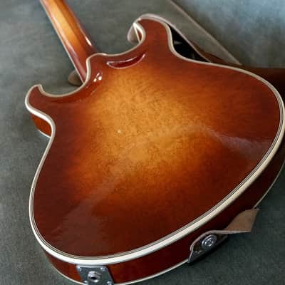 Paul Languedoc G2 Electric Hollowbody Guitar image 9