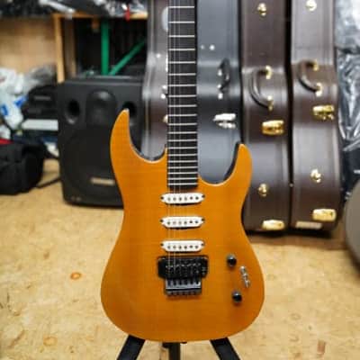 B.C. Rich  Assassin SSS Floyd Rose gebraucht natur image 4