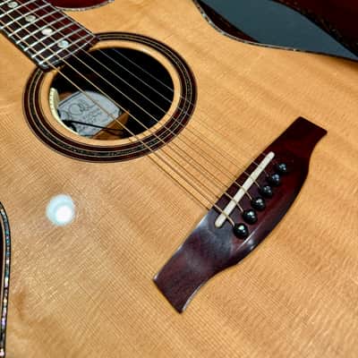 PRS Angelus Private Stock 2010 Steve Fischer image 5