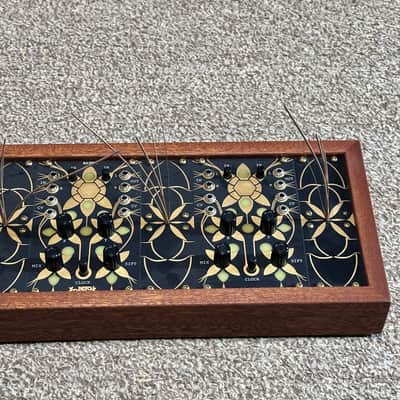 Folktek Resonant Garden Electro-Accoustic Instrument image 3