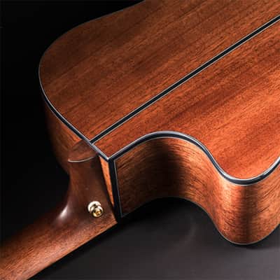 Cort Gold-A6 w/Gigbag (B Stock) image 5