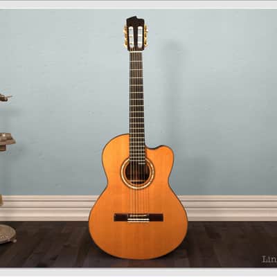 Linda Manzer Nylon String image 1