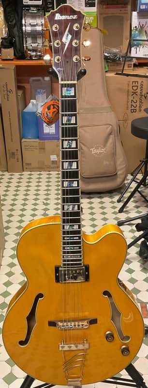 Ibanez PM2 AA Pat Metheny c/astuccio image 1