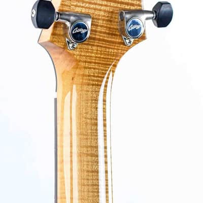 Collings 360 LT M Doghair Finish 2024 image 6