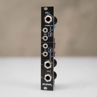 Strymon AA.1 Eurorack Module w/ Braided Patch Cables #58925 image 2