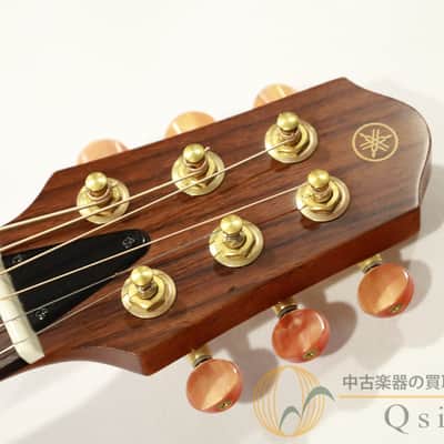 Yamaha Slg 100 S image 4