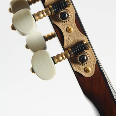 Gitane John Jorgenson DG-320 *Used image 12