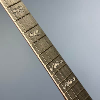 Custom Deering Artisan Goodtime Special 19-Fret Tenor Openback Banjo image 12