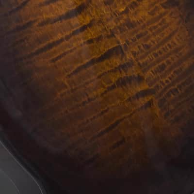 Northfield Big Mon w/ Engelmann Top, Tortoise Binding & Wide Nut (#B260901) image 16