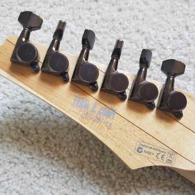 Ibanez Prestige RGA-321F image 16