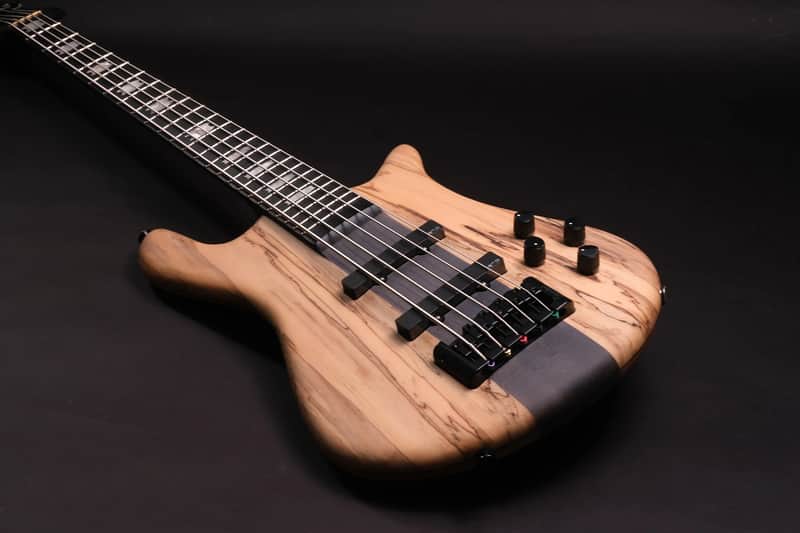 Spector CST limited Edition 2026 - Spalted Maple image 1