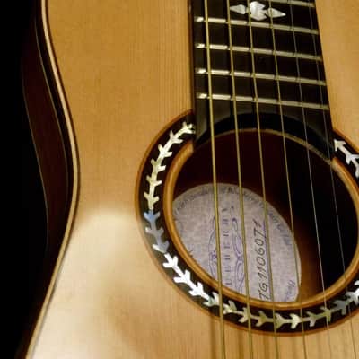 Blueberry Handmade Acoustic Travel Guitar image 6
