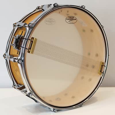 Canopus Maize Yellow Birch 5.5" x 14" Snare Drum w/ VIDEO! YBR-1455 image 8