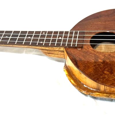 Turtle Shell Tenor Ukulele image 8