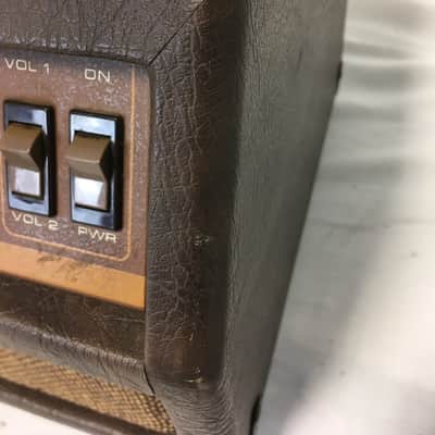 Vintage Acoustic 250 Head image 7