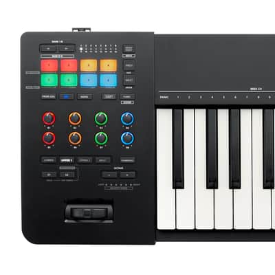 Roland A-88MKII MIDI Keyboard Controller - Studio Rig image 6