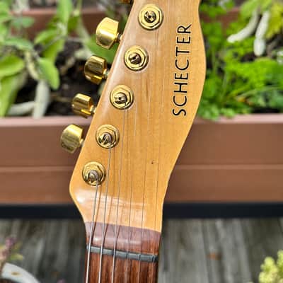 Vintage 1980s Schecter Telecaster – CSB image 4