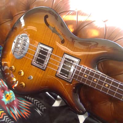 2006 Lakland Hollowbody Deluxe HB87 with Case image 6