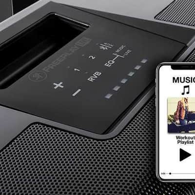 Mackie FreePlay LIVE 150-Watt Portable PA system image 7