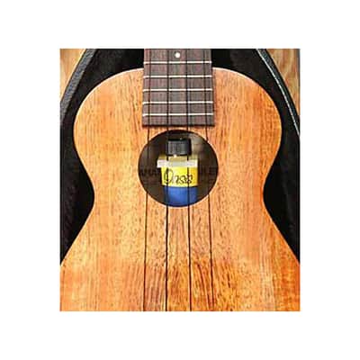Oasis OH18 Ukulele Humidifier image 2