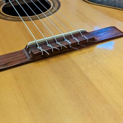 1960s Giannini GN50 Parlour Classical, Brazillian Rosewood, Mahogany image 13