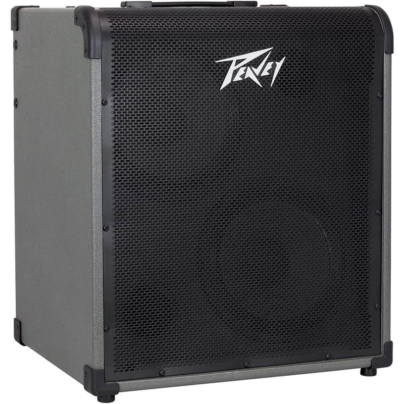 Peavey MAX 300 300-Watt 2x10" Bass Combo image 2