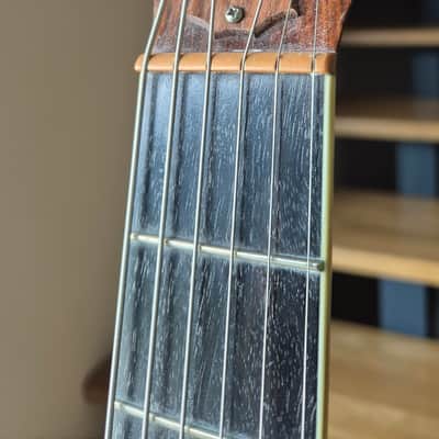Taylor GS5 - from 2017. ( It's powerful - It fills the room ) image 11