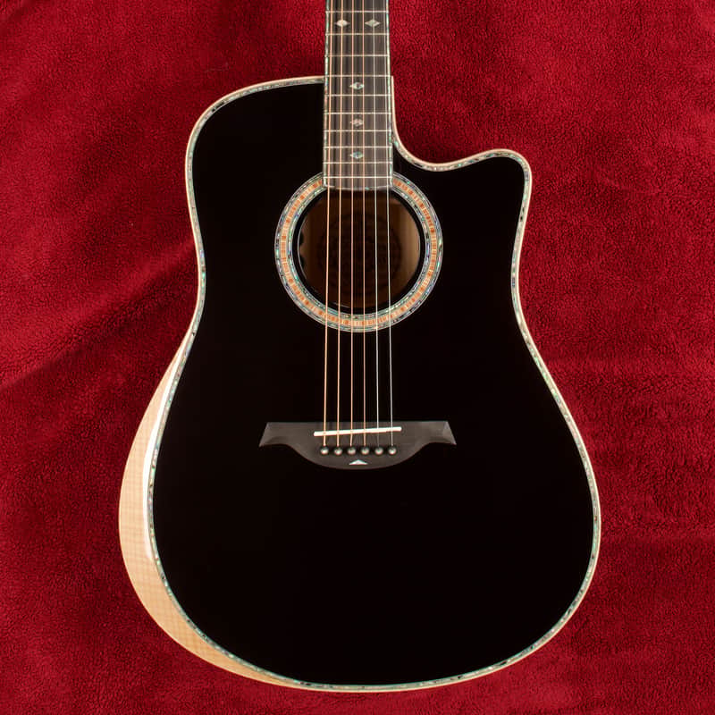 B.C. Rich Acoustic Cutaway 6 -String - Black - W/Matrix Infinity VT & Hardcase image 1
