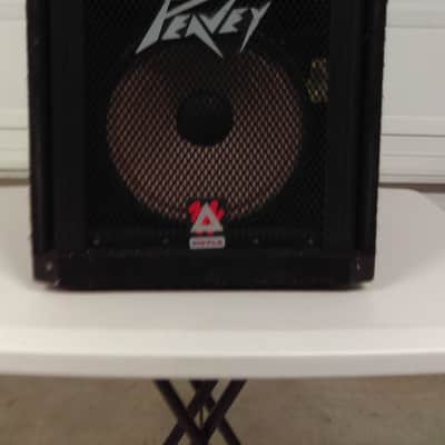 2) Peavey TLS 1 Pair PA Speakers 10" + Horn each 110 Cabinet 8 ohms Vintage Monitors Heavy Duty VG image 3
