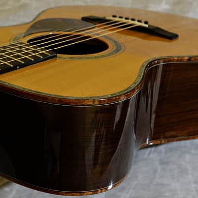 Kathy Wingert Model EVC - (Brazilian RW) image 6