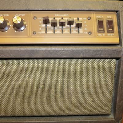 Acoustic G 100 T  tube guitar amp image 13