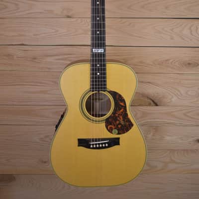 Maton EBG808TE 2024 - Queensland Maple/AAA Spruce image 1