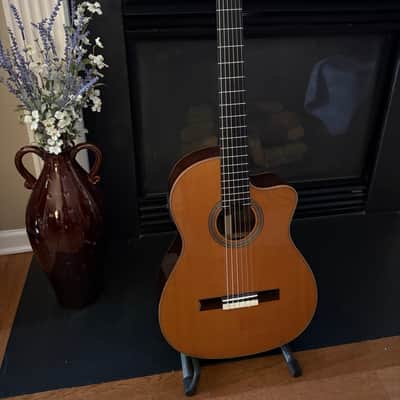 Cordoba Fusion Orchestra 12 Cutaway Nylon String 2026 - Glossy Solid Cedar Top, Rosewood Sides and Back image 1