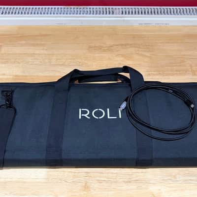 ROLI Seaboard RISE 2 (Platinum Blue) 49-Key + Equator2 + Soft Case image 10