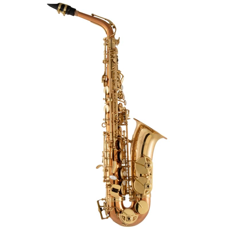 Selmer SAS511C Intermediate Eb Alto Saxophone Black Nickel Plated image 1