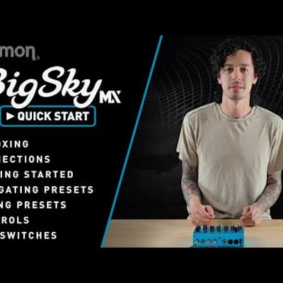 Strymon Big Sky MX incl. Cordial CCFI 3 PP - Bundle Set image 18