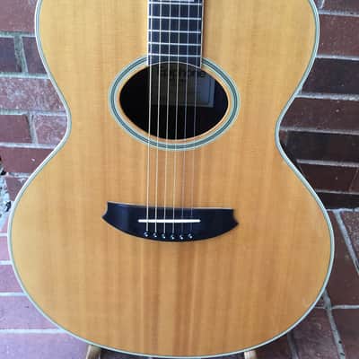Epiphone Norlin NO-390 Acoustic Guitar with Hard Shell Case image 4