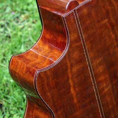 2019 The Tree Sexauer FT-000-C German Top Multi-Scale Fanfret Hot Hide Glue Varnish #2870219 image 6