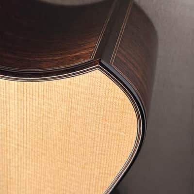 Keisuke Fujii Jazz Nylon with Carlos VIP-DM System image 7