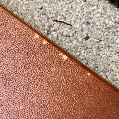Gibson Les Paul Standard '50s Plain Top image 17
