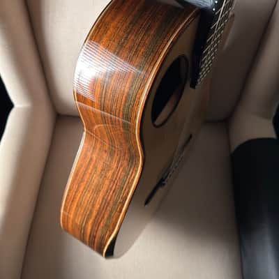 Tomas Fiore Classical Cutaway Crossover Brazilian Rosewood MiSi Pickup Stauffer Style Neck image 11