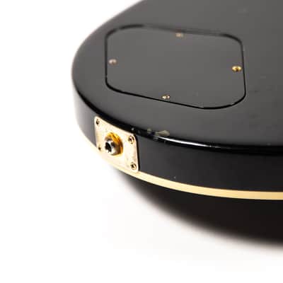 Gibson Les Paul Custom Lite Owned by Mike Campbell image 18