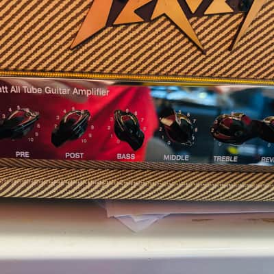 Peavey Classic 20 Mini Guitar Valve/Tube Amplifier Head (Tweed) - Great Shape image 3